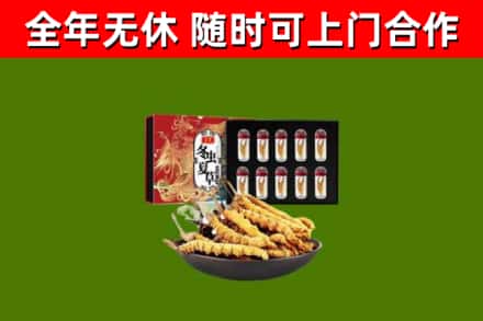 元江县回收冬虫夏草价格