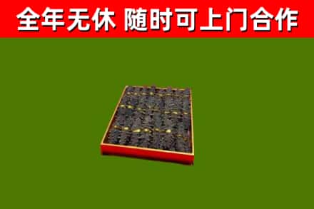 元江县回收海参